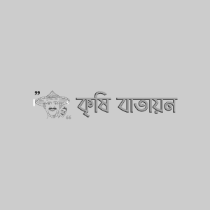 তরমুজের গোড়া পচা রোগ